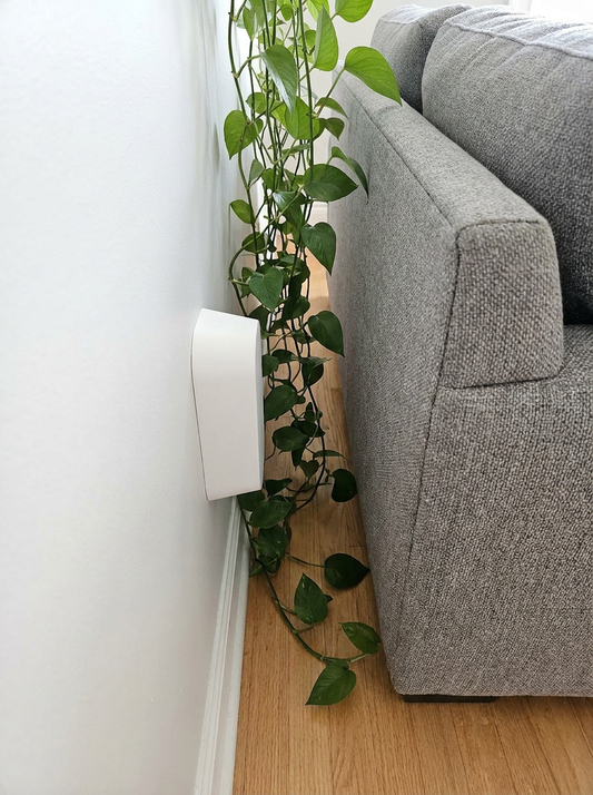 Couch Spacer holding a sofa off the wall with a trailing pothos plant cascading behind it
